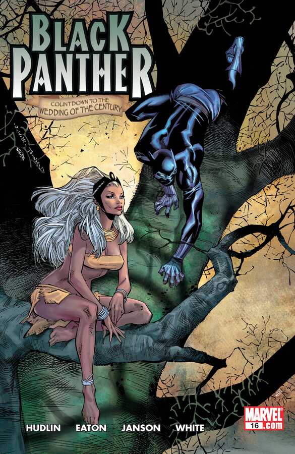 Marvel - BLACK PANTHER (2005) # 16